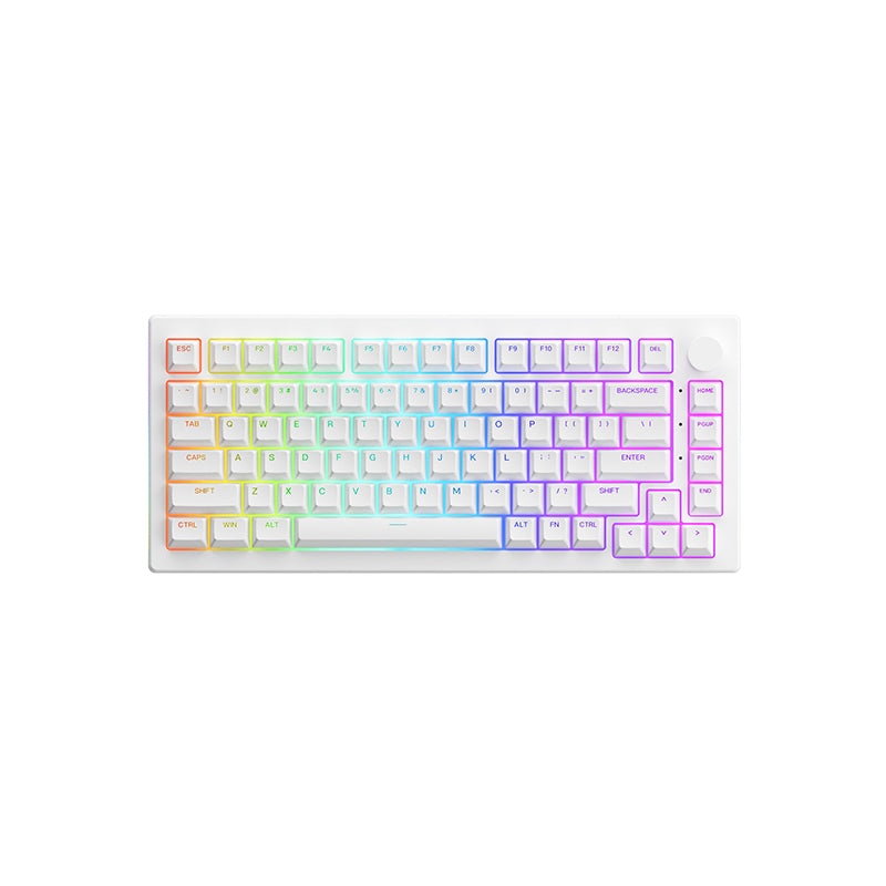 ASA Shine-Through Keycap Set