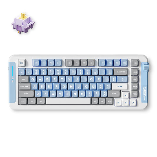 MCHOSE X75 Wireless Gasket Mount Mechanical Keyboard